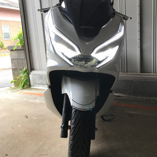 HONDA PCX新型（現行機種）JF81 カラー；ジャスミンホワイト保証あり！