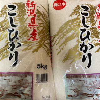 こしひかり　10kg 取りに来れる方