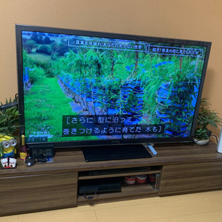 テレビ台/テレビボード