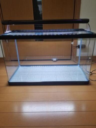 ニッソー 曲げガラス60cm  ライト