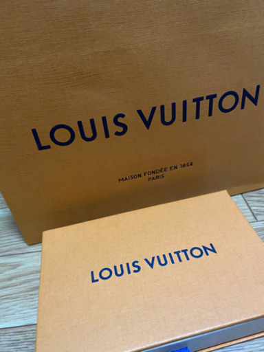 LOUIS VUITTON 紙袋　小ケース