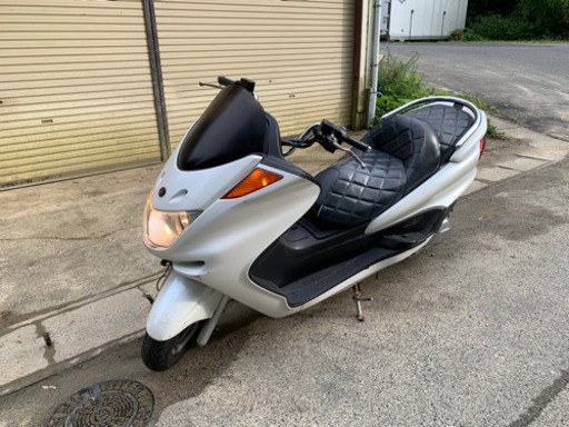 絶好調❗️マジェスティ 250  実働