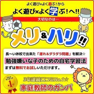 首都圏口コミNO.1　勉強嫌いな子のための家庭教師のガンバ⑪