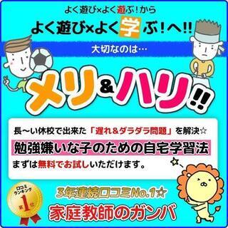 首都圏口コミNO.1　勉強嫌いな子のための家庭教師のガンバ⑥