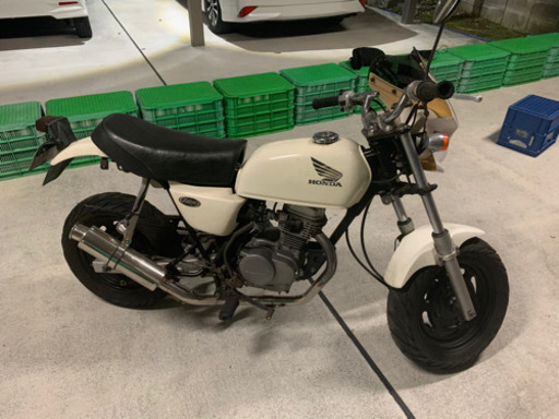 ホンダ APE 50