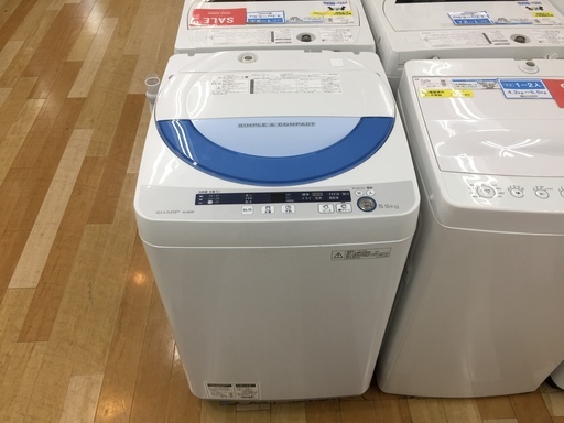 SHARP　5.5㎏　全自動洗濯機　【トレファク岸和田店】