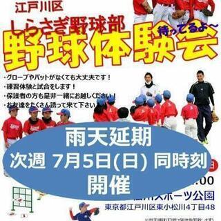 しらさぎ少年野球部 体験会  江戸川区の画像