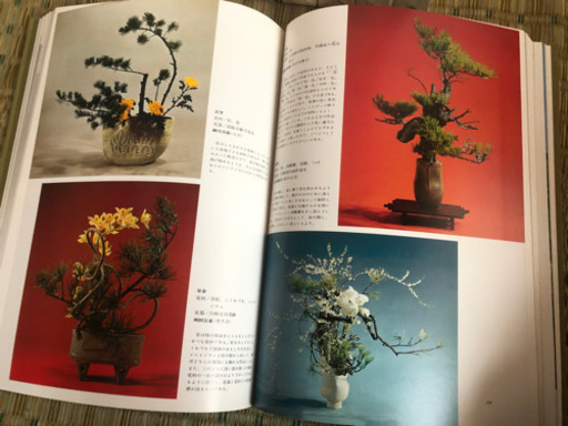 いけばな芸術全集 花材別 18 冊セット Yuripi 富水の家具の中古あげます 譲ります ジモティーで不用品の処分 いけばな芸術全集 花材別 18 冊セット Yuripi 富水の家具の中古あげます 譲ります ジモティーで不用品の処分