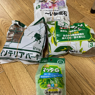 観葉植物セット