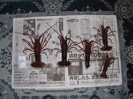 伊勢海老釣りに使用した竿 リールセット中古 だぁりん 屏風浦のマリンスポーツの中古あげます 譲ります ジモティーで不用品の処分 伊勢海老釣りに使用した竿 リールセット中古 だぁりん 屏風浦のマリンスポーツの中古あげます 譲ります ジモティーで不用品の処分
