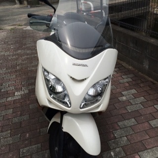 フォルツァ MF08前期