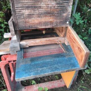 好評につき日本ミツバチ1群の出品です