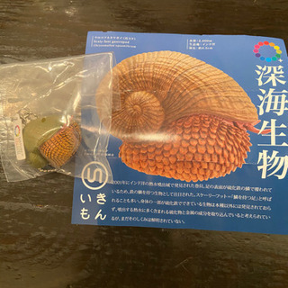 深海生物 いきもん ウロコフネタマガイ ガチャ