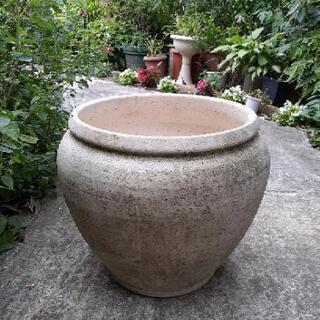 大きな陶器の鉢