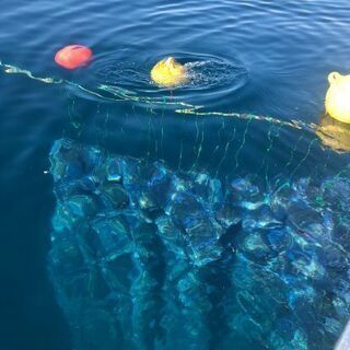 ホタテ養殖船乗務員の画像