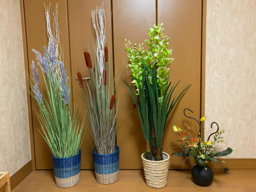 フェイクグリーン 観葉植物 モダン インテリア Asayan 藤井寺のインテリア雑貨 小物 置物 オブジェ の中古あげます 譲ります ジモティーで不用品の処分 フェイクグリーン 観葉植物 モダン インテリア Asayan 藤井寺のインテリア雑貨 小物 置物 オブジェ の中古あげます 譲ります ジモティーで不用品の処分