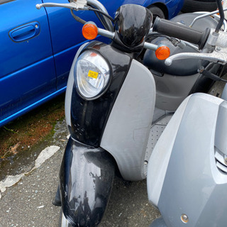 HONDA スクーピー AF55 福岡市南区 itastes.it
