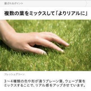 新品 人工芝 受け渡し予定決定しました。