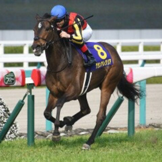 競馬仲間を増やそう