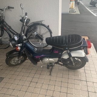 HONDA 角目シャリー 12V