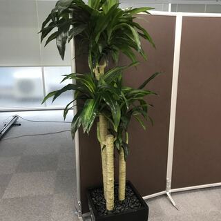 【値下‼︎】人工観葉植物　フェイクグリーン 大型　鉢付き