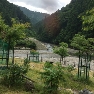 BBQと焚火の店を手伝って