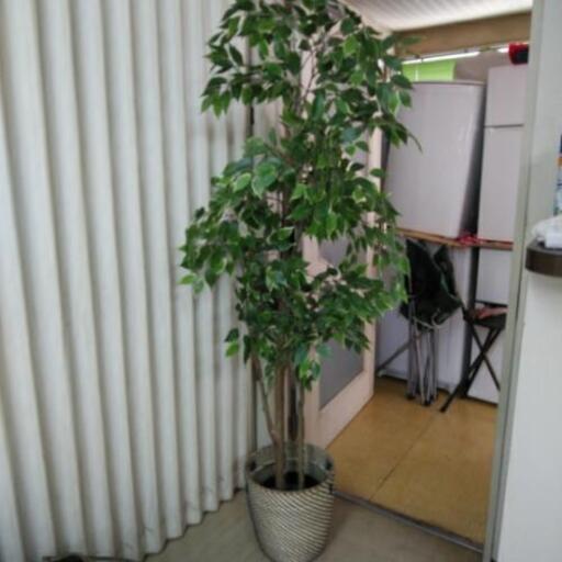 フェイクグリーン観葉植物