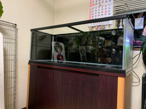 120cm水槽と水槽台
