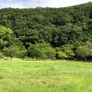 出張ありで樹木剪定や草刈作業のできる方（造園業経験者）