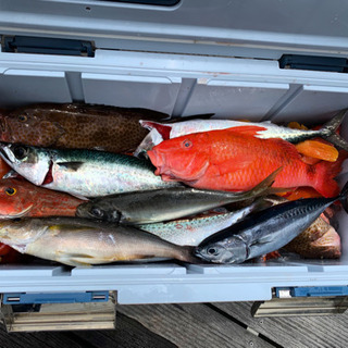 オフショア　釣り仲間募集‼️