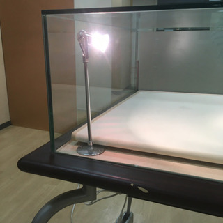 高級 猫脚ガラスショーケース 照明ライト付ディスプレイ什器 【公式通販】
