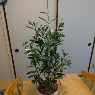 造花　観葉植物　オリーブの木　90cm