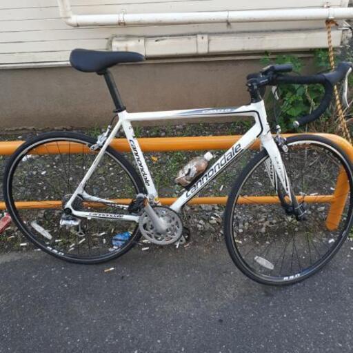 本日限定！キャノンデール8