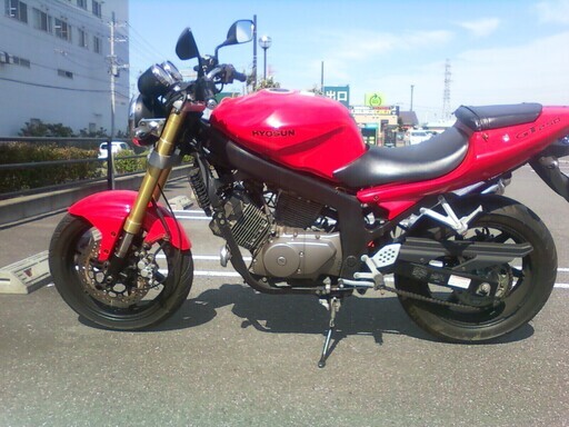 ヒョースン　GT250
