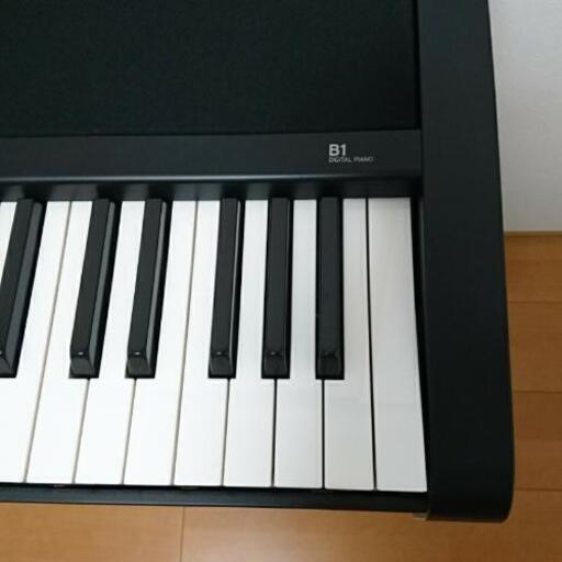 KORG B1 コルグ B1