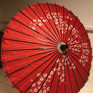 和傘(藤の花)