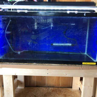 水槽セット  個々購入ok