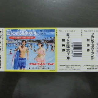 長島ジャンボ海水プール・なばなの里入場券 - テーマパーク/遊園地