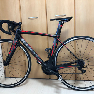 2017年モデルクオータ　クーガー　sサイズ