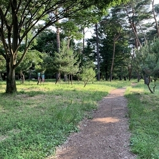 女性残1⚠️【館林市】婚活おさんぽ交流（7/5 日 10:00〜...