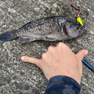 釣り連れてってください〜！ − 北海道