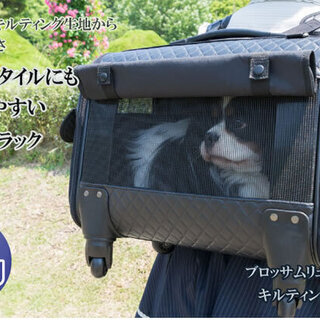 未使用品 ブロッサム 4WAYペットキャリー 黒 Mサイズ