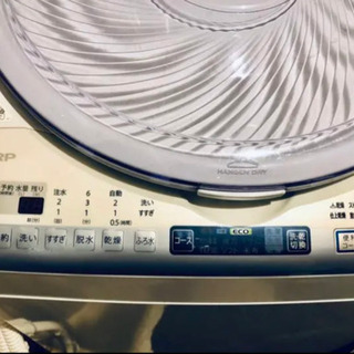 サバの味噌煮さま専用付属品完備 SS25 サイズ48 / ストア BELA BOXERS