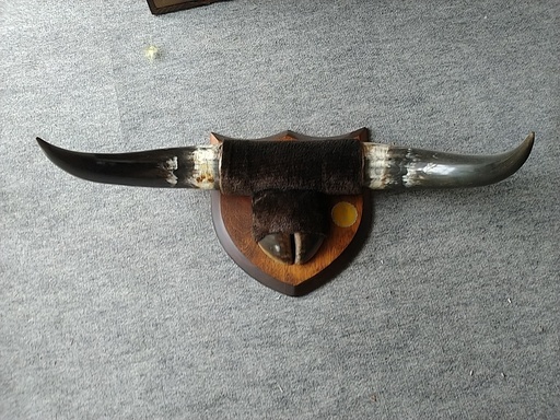 角の壁飾り
