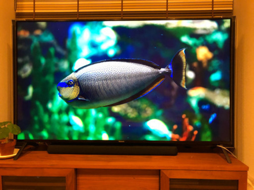格安❗️大型❗️パナソニック ビエラ 65インチ 液晶テレビ 65型 これ
