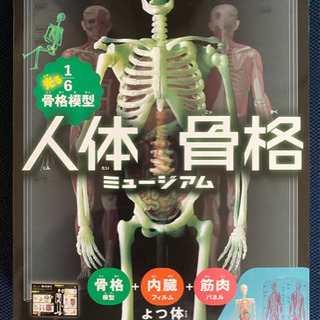 【ネット決済・配送可】人体骨格ミュージアム（未使用）