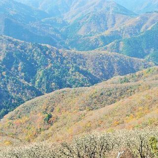 登山仲間募集の画像