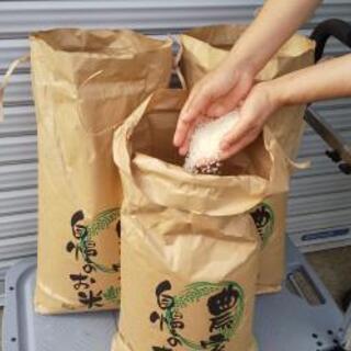 食品 木更津産令和2年産コシヒカリ