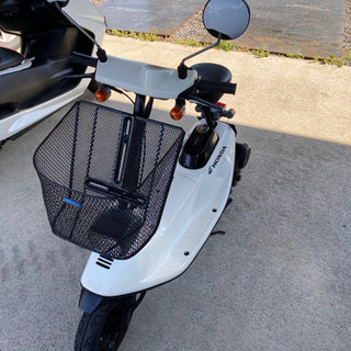 ホンダのズーク53cc