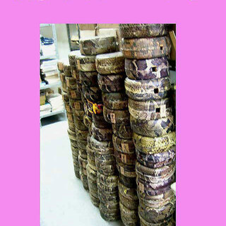 新品未使用 16.500円 蛇皮強化(二重張)型チーガ二個セット